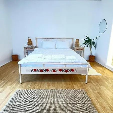 דירות באלוטשטי Biolocalia House Dobrogea מראה חיצוני תמונה