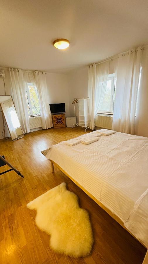 Appartement Biolocalia House Dobrogea Balotesti